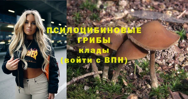 МДМА Алексеевка