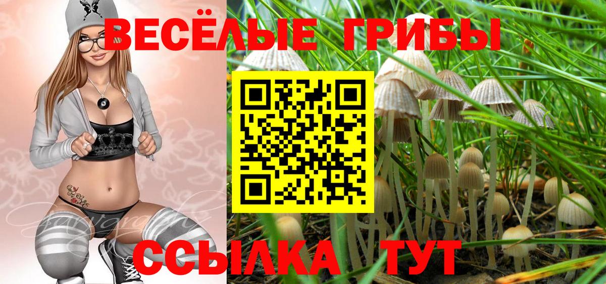 Псилоцибиновые грибы прущие грибы Дзержинский