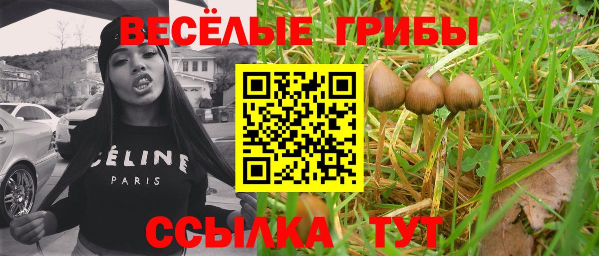 Дзержинский  Галлюциногенные грибы ЛСД  наркота  Галлюциногенные грибы MAGIC MUSHROOMS  Вход с VPN 